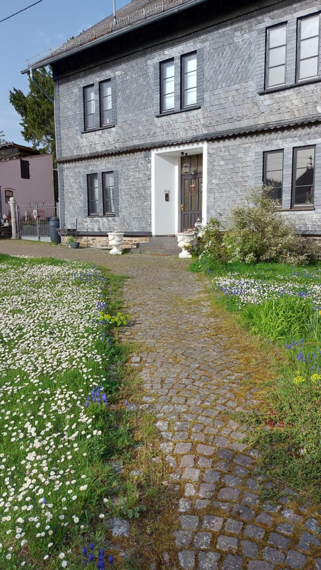 Zum Alten Pfarrhaus Damscheid Exterior foto